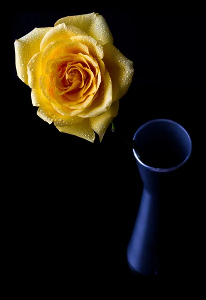 Yellow rose in silver vase — Stock Photo, Image