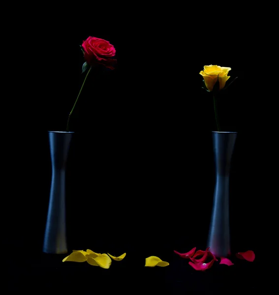 Roses jaunes et rouges en toile — Photo