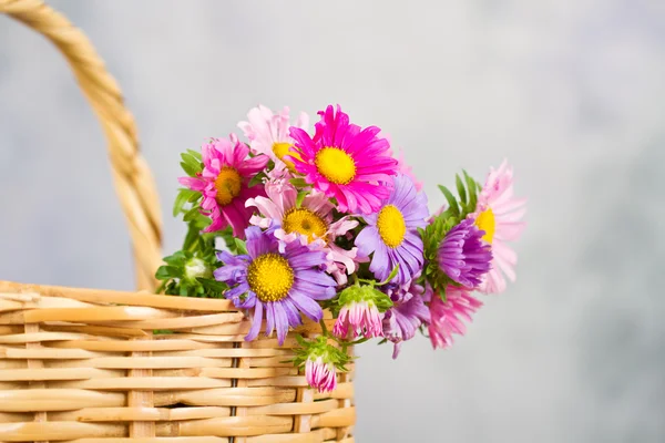 Cesta com flores coloridas — Fotografia de Stock