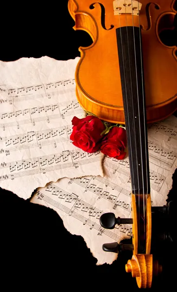 Noten für Violine und Rose — Stockfoto