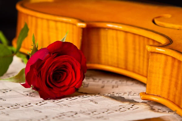 Violin sheet music and rose — Stock Photo, Image