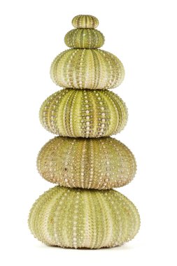 joven mujer caucásica feliz saltando