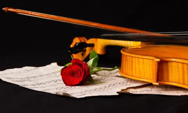 Violino partitura e rosa — Fotografia de Stock