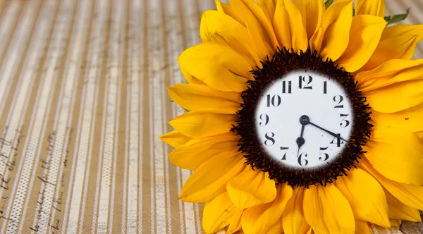 Uhr in Sonnenblume — Stockfoto