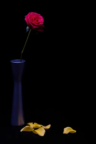 Rosas amarelas e vermelhas em vaso — Fotografia de Stock