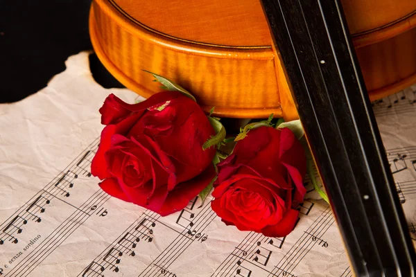 Violin sheet music and rose — Stock Photo, Image