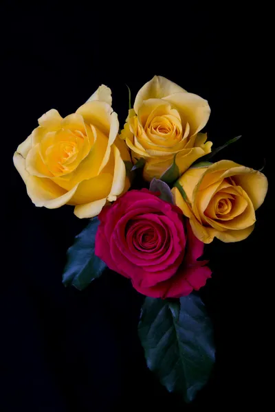 Red and yellow roses — Stock Photo, Image