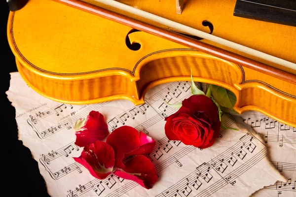 Noten für Violine und Rose — Stockfoto