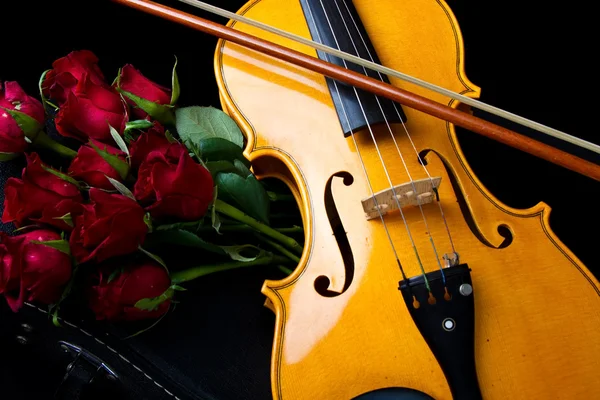 Geige auf Koffer — Stockfoto