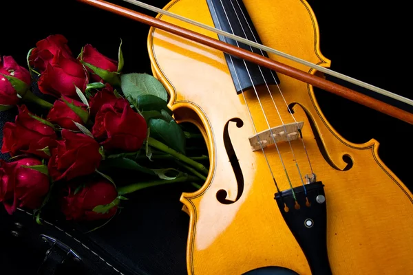 Violino em estojo de transporte — Fotografia de Stock