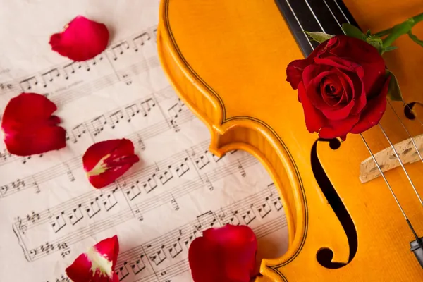 Partituras de violín y rosa — Foto de Stock