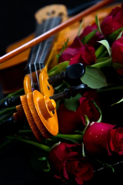 휴대 케이스에 바이올린 — 스톡 사진