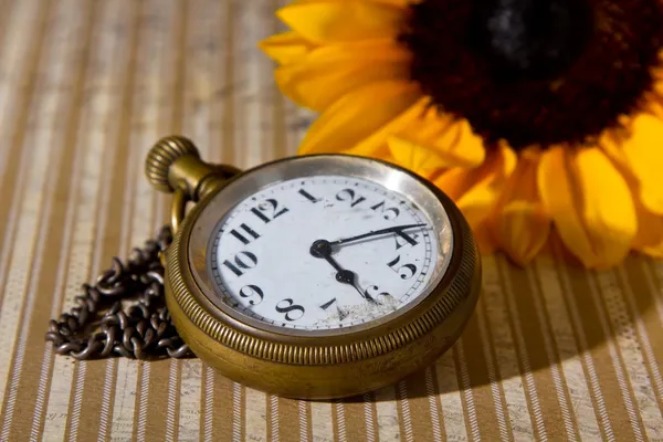 Kapesní hodinky a slunečnice — Stock fotografie