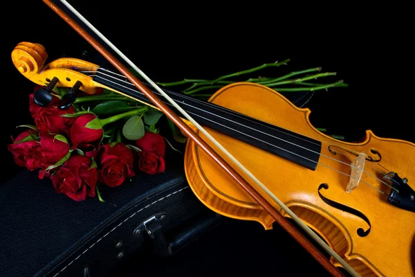 Violino em estojo de transporte — Fotografia de Stock