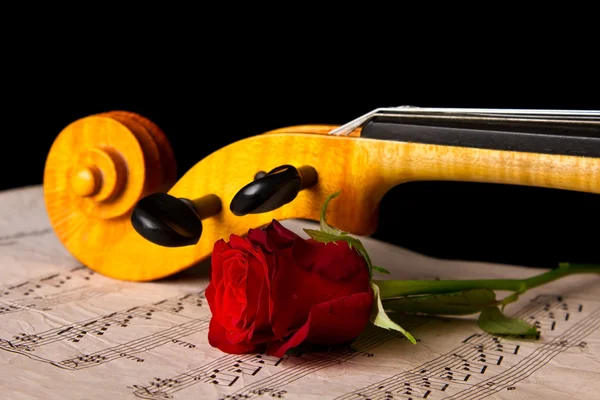 Violino partitura e rosa — Fotografia de Stock