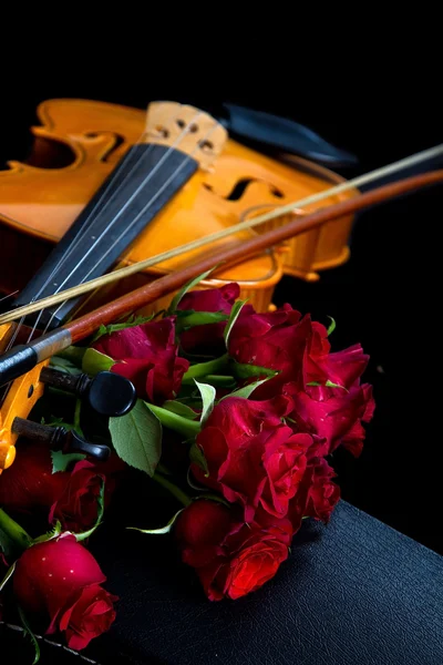 Violino sulla custodia — Foto Stock