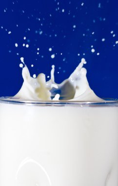 Süt bardağa sıçrar.