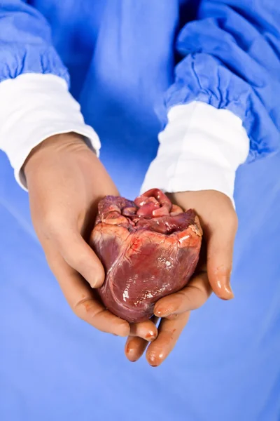 Doktor drží pacienta srdce — Stock fotografie