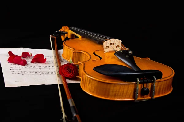 Violino partitura e rosa — Fotografia de Stock