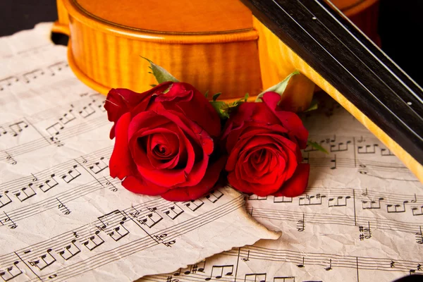 Violin sheet music and rose — Stock Photo, Image