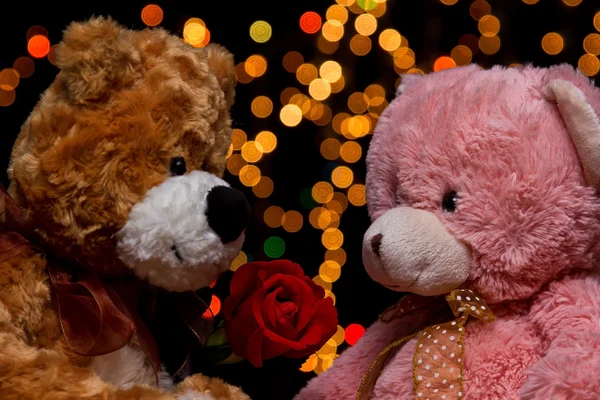 Dois Teddie urso com branco com rosa vermelha sentado — Fotografia de Stock