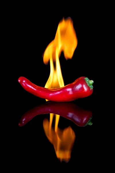 Red chilli on black surface with flames — Stock Photo, Image