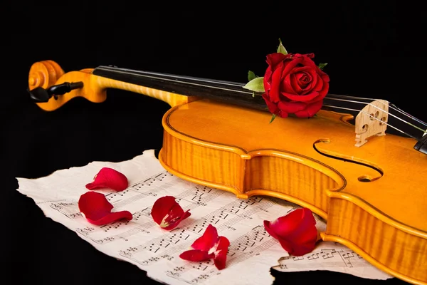 Violino partitura e rosa — Fotografia de Stock