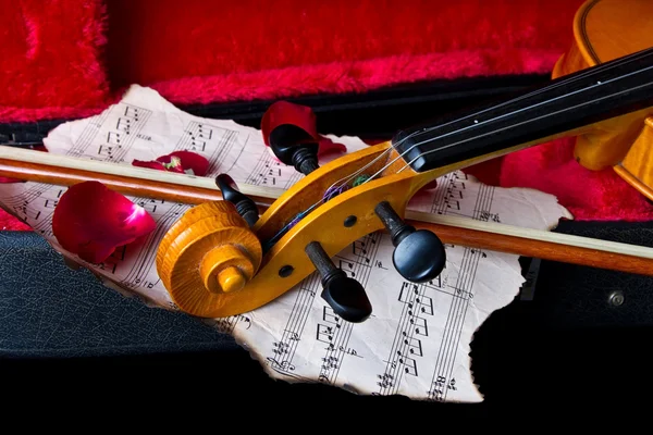 Violín en estuche — Foto de Stock