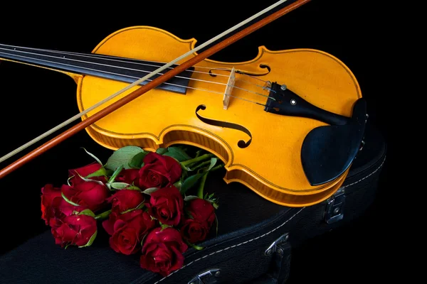 Violin on carry case — Stock Photo, Image