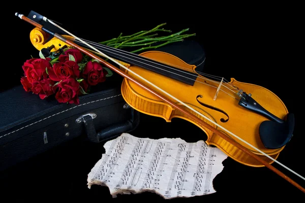 Violino em estojo de transporte — Fotografia de Stock