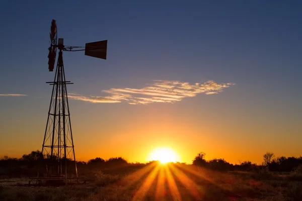 Encantador pôr do sol em Kalahari com moinho de vento e grama — Fotografia de Stock