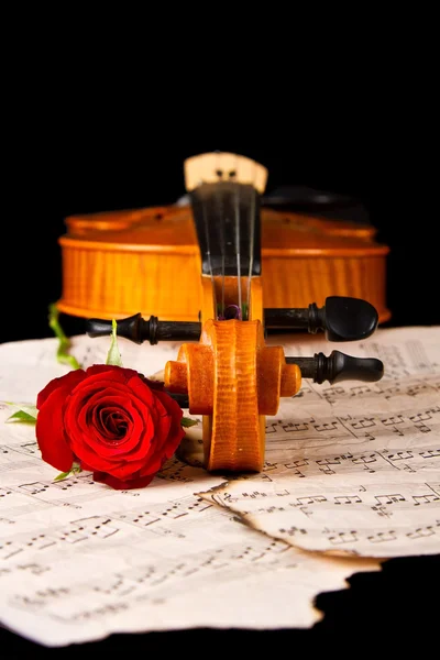 Violino partitura e rosa — Fotografia de Stock