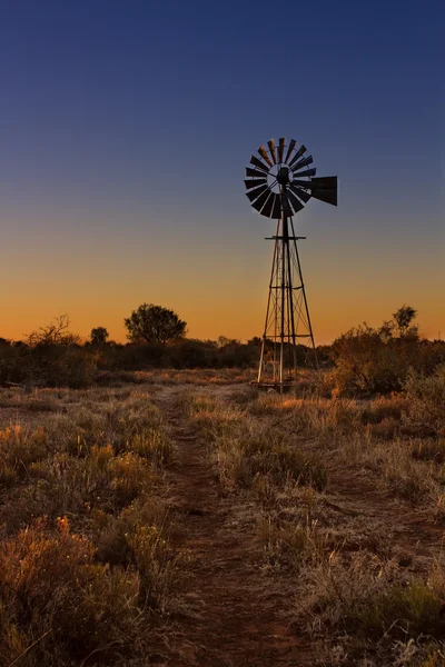 Encantador pôr do sol em Kalahari com moinho de vento e grama — Fotografia de Stock