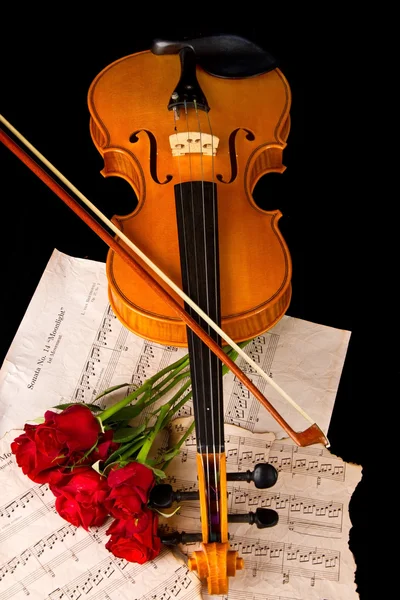 Violin sheet music and rose closeup still life — Stock Photo, Image