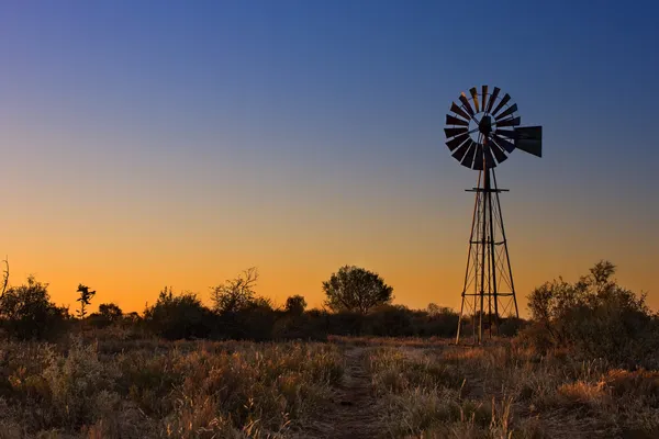 Hermosa puesta de sol en Kalahari con molino de viento y hierba —  Fotos de Stock