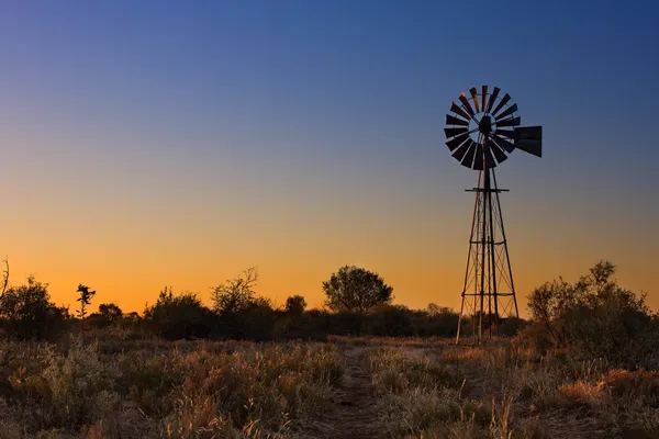 Bel tramonto a Kalahari con mulino a vento ed erba Immagine Stock