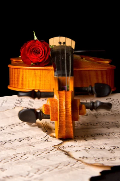 Violino partitura e rosa — Fotografia de Stock