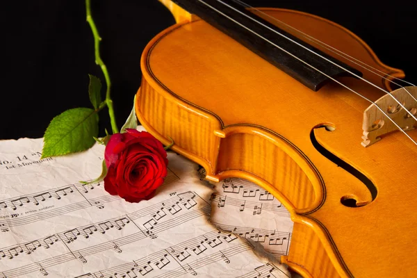 Spartiti per violino e rosa — Foto Stock