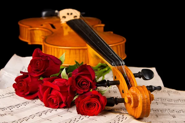 Viool bladmuziek en rose — Stockfoto