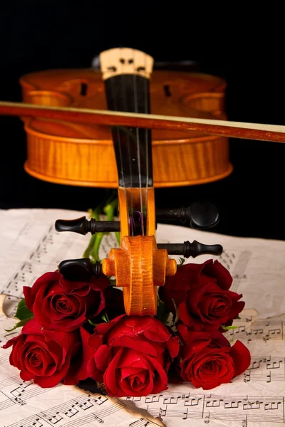 Violino partitura e rosa closeup ainda vida — Fotografia de Stock