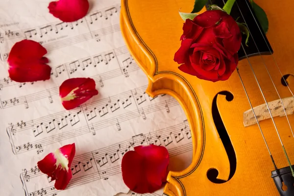 Noten für Violine und Rose — Stockfoto