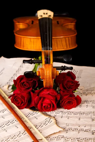 Violino partitura e rosa closeup ainda vida — Fotografia de Stock