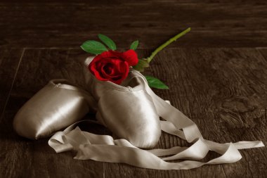 eski bale terlik rose ve petal yerde yatarken kullanılan