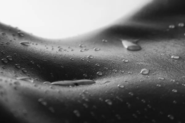 Bodyscape of a nude woman with wet stomach and back lighting art — Stock Photo, Image