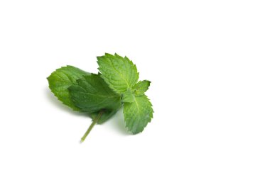 beyaz zemin üzerine nane izole