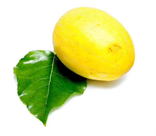 Yellow melon on a white background — Stok fotoğraf