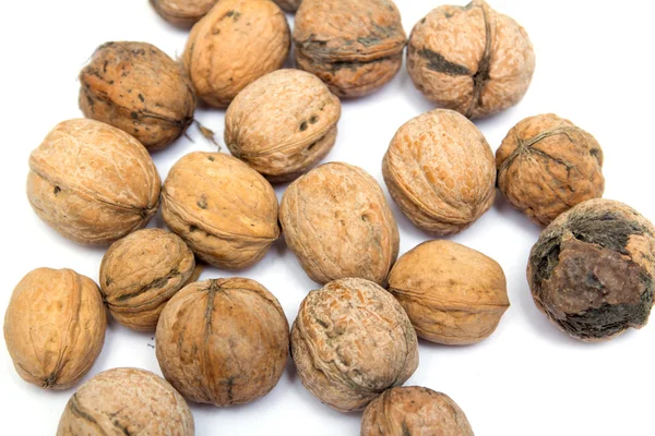 Walnuts on a white background — Stock Photo, Image