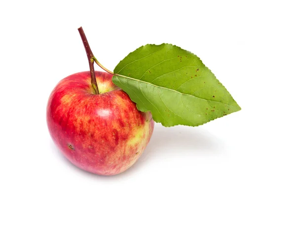 Rode appel op een witte achtergrond — Stockfoto