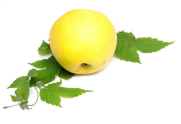 Manzana amarilla con hoja verde sobre fondo blanco —  Fotos de Stock