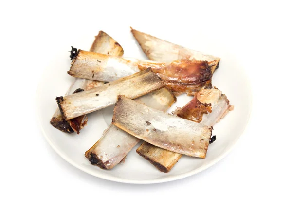 Dana Kaburga kemikleri